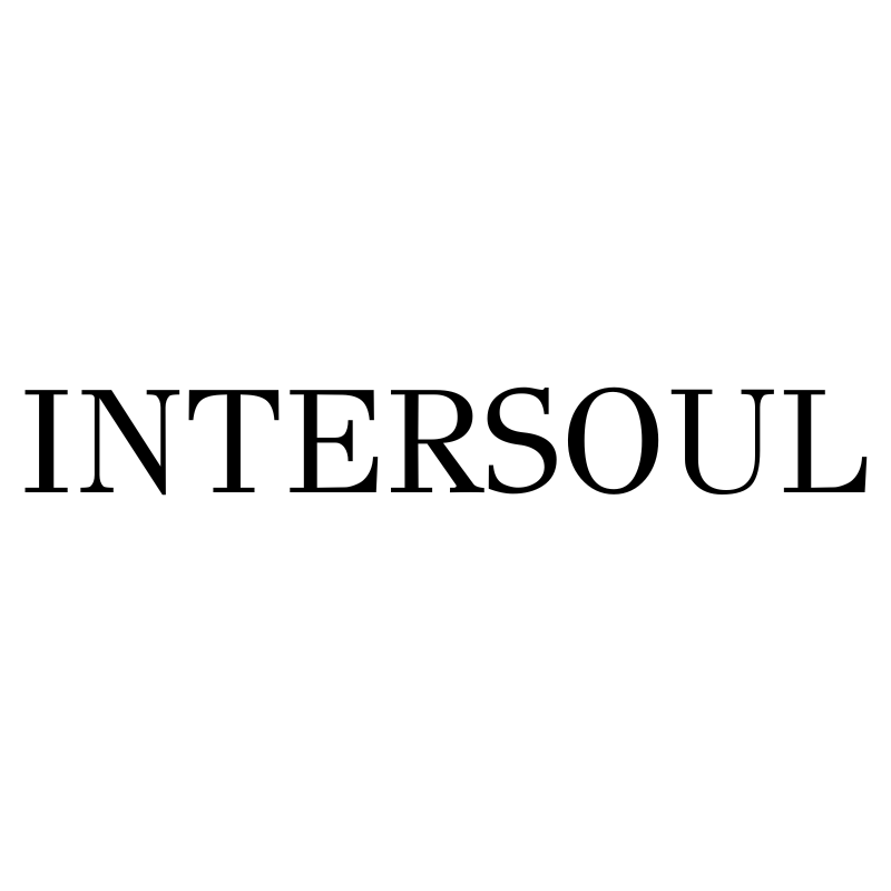 Load image into Gallery viewer, INTERSOUL
