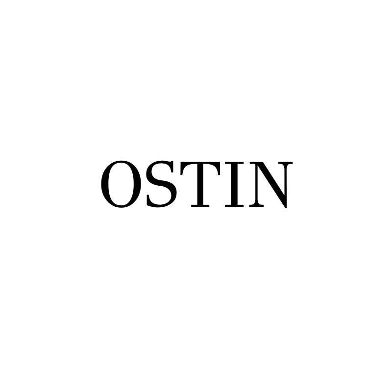 Load image into Gallery viewer, Ostin
